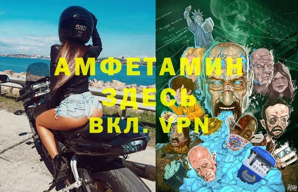 твердый Вяземский