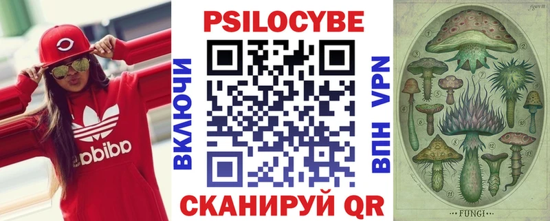как найти закладки  Талица  Псилоцибиновые грибы прущие грибы 